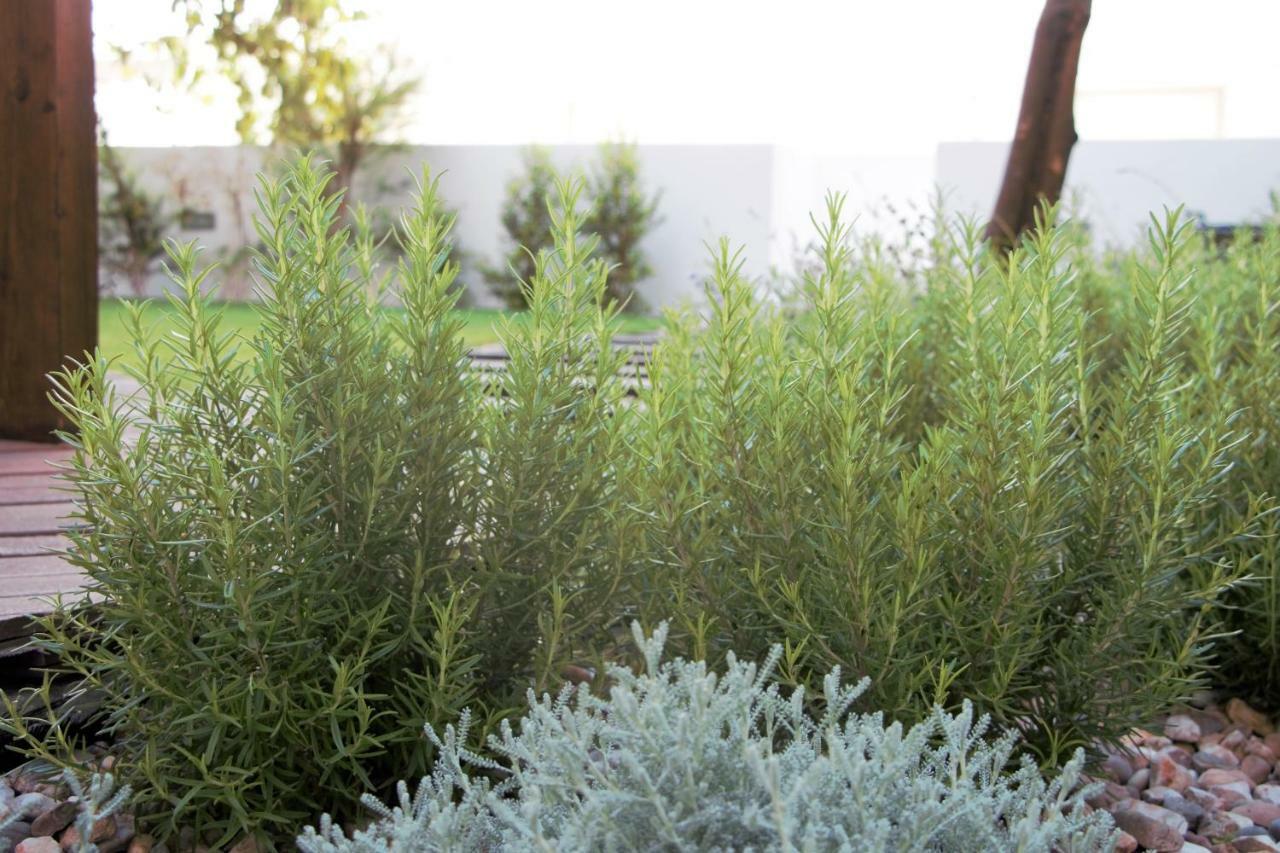 ליסבון Graca Garden Home מראה חיצוני תמונה